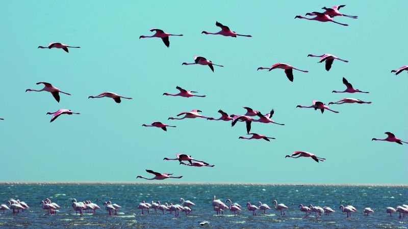Destinations Croisières Luderitz