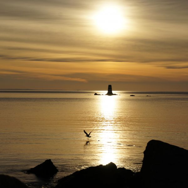Destination Croisières Saint-Pierre-et-Miquelon 