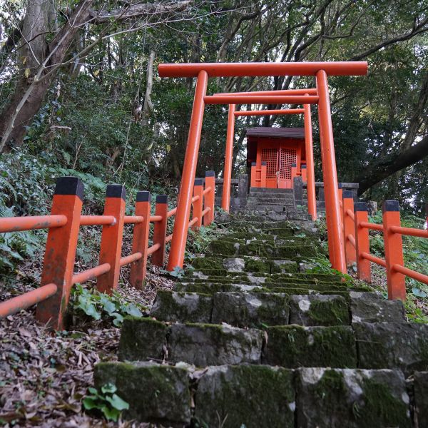 Destinations Croisières Kochi 