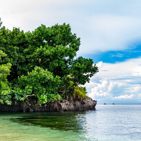 Destinations Croisières Alotau 