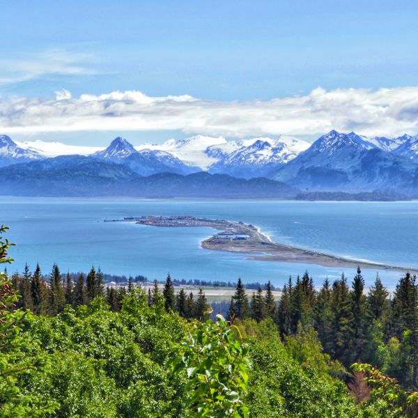 Destinations Croisières Homer