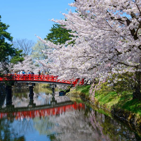 Destinations Croisières Aomori