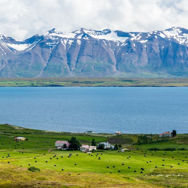 Destinations Croisières Eyjafjordur